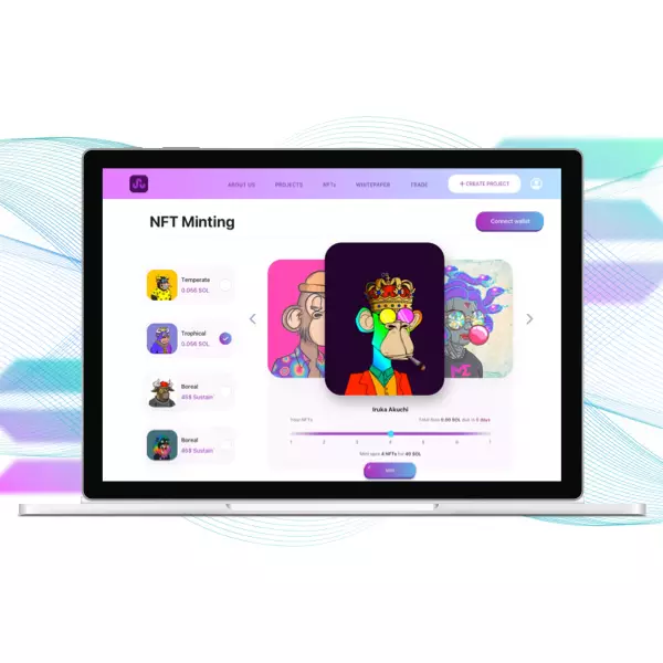 Solana NFT Minting Platform Development